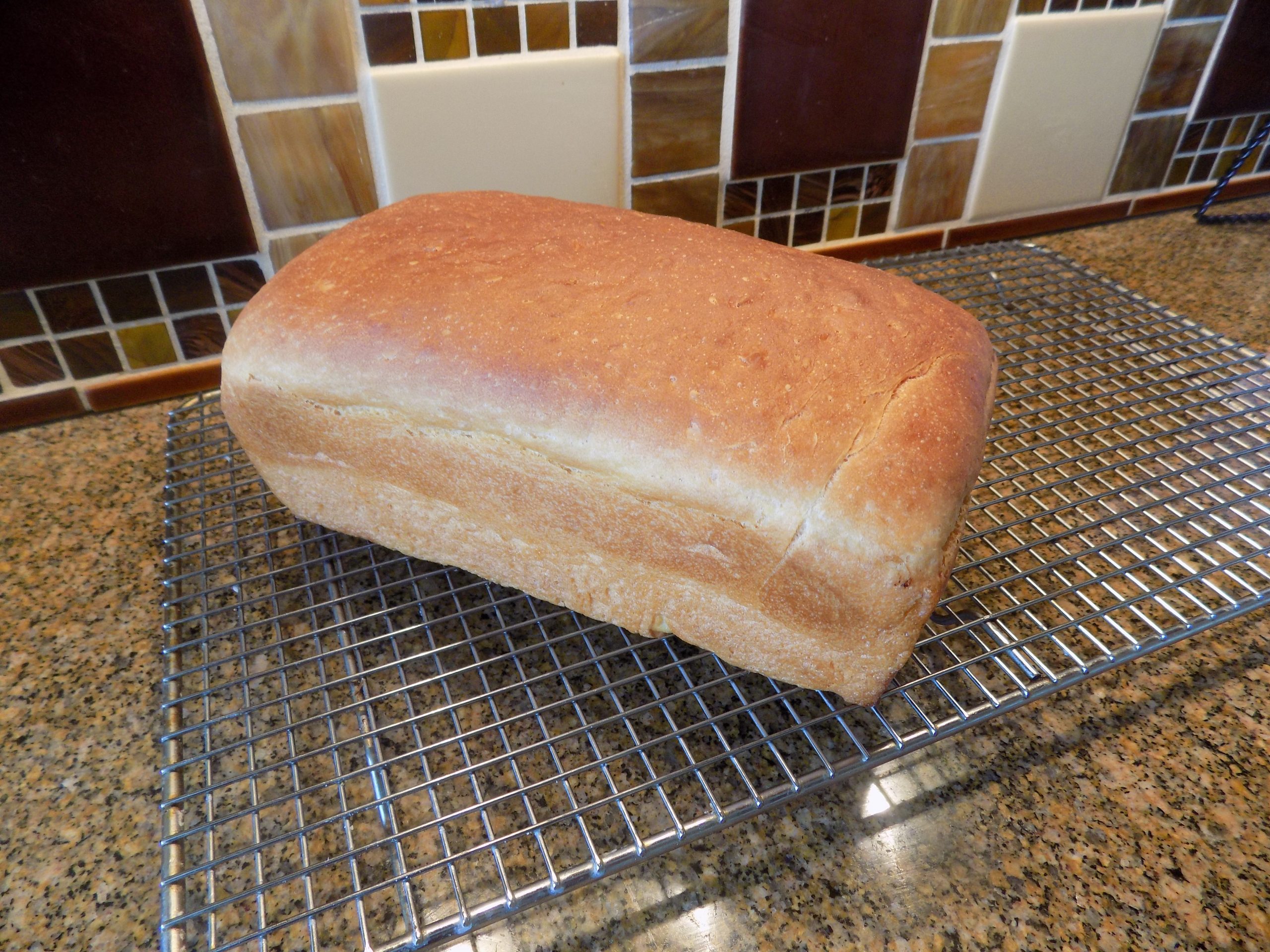 SOURDOUGH SANDWICH BREAD (added yeast) | CHEZ CARR CUISINE