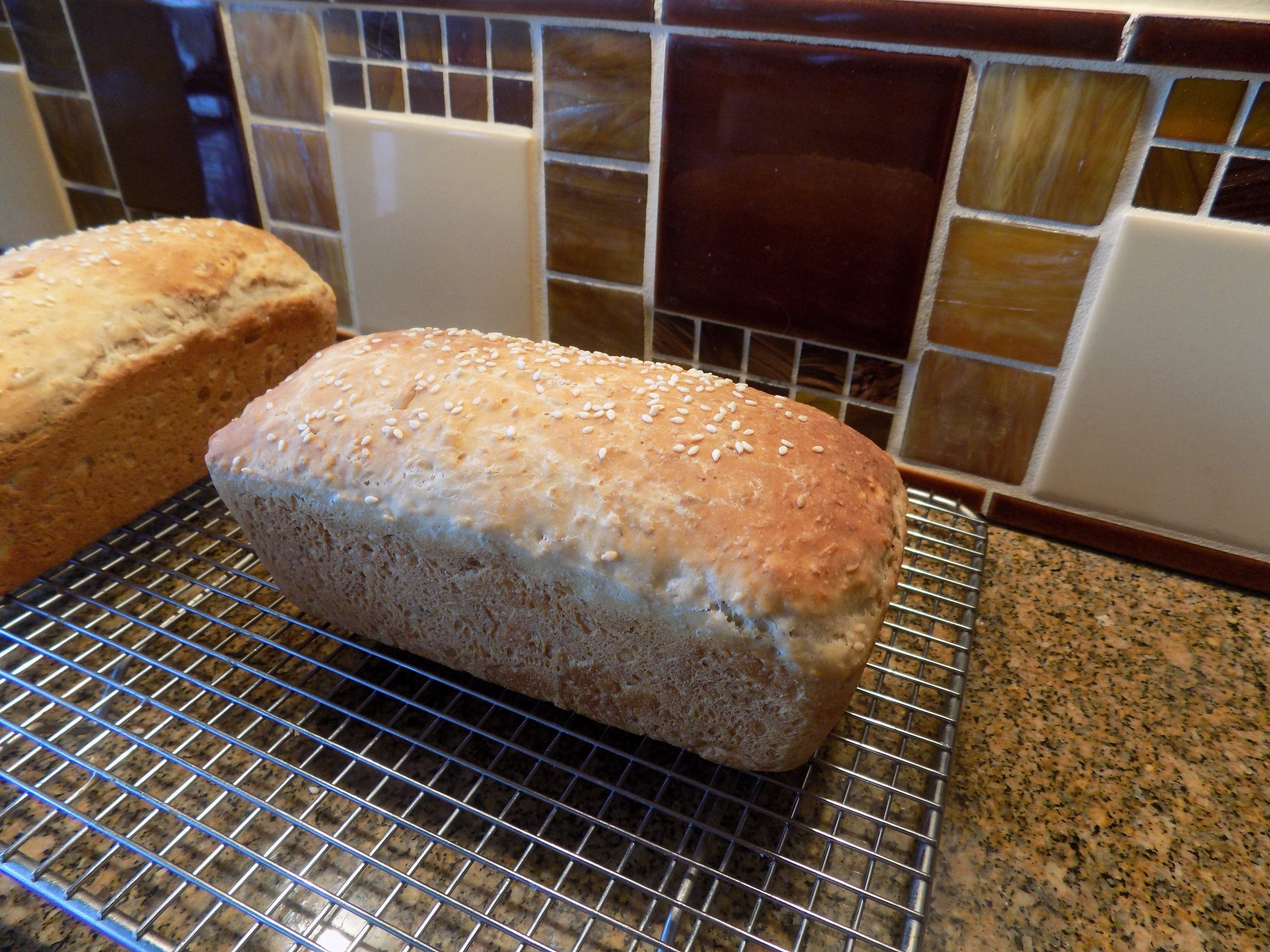 SOURDOUGH DISCARD OATMEAL SEED BREAD (added yeast) | CHEZ CARR CUISINE